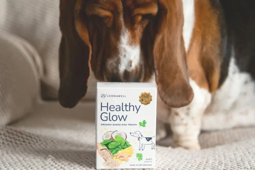 A cute dog sniffing LOONAWELL's Healthy Glow organic dog treats