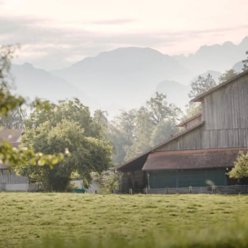 Die friedliche Landschaft bei Loonawells Rindfleischlieferanten, Swiss Organic Beef