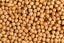 Organic Chickpeas
