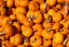 Organic Pumpkin