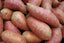 Organic Sweet Potato