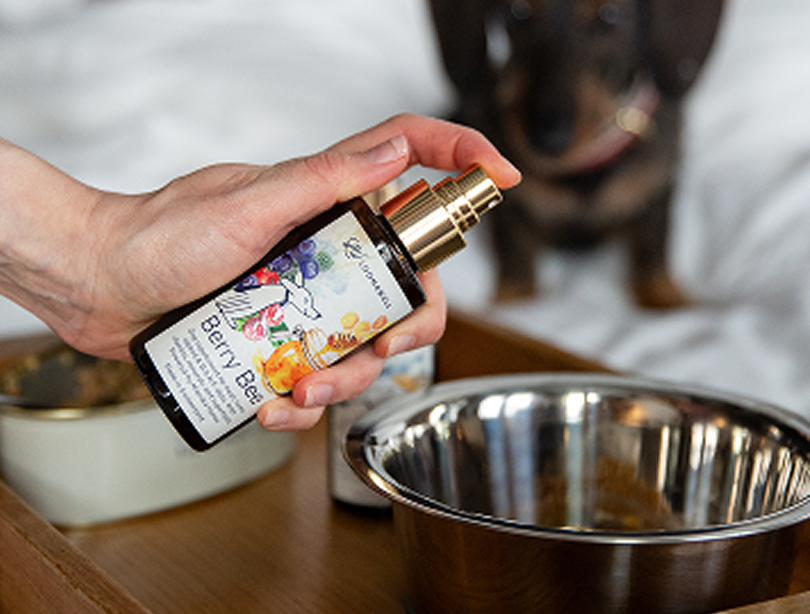 Hand holding a LOONAWELL Berry Bee supplement spray over a stainless steel bowl, with a dachshund waiting in the background.