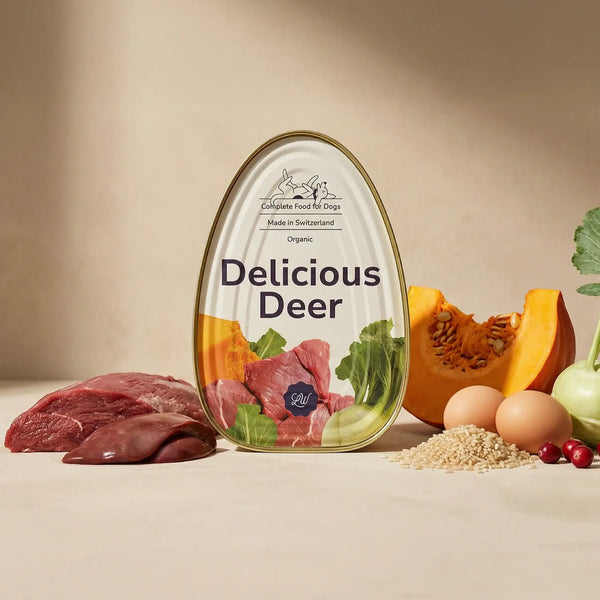 delicious-deer-complete-dog-