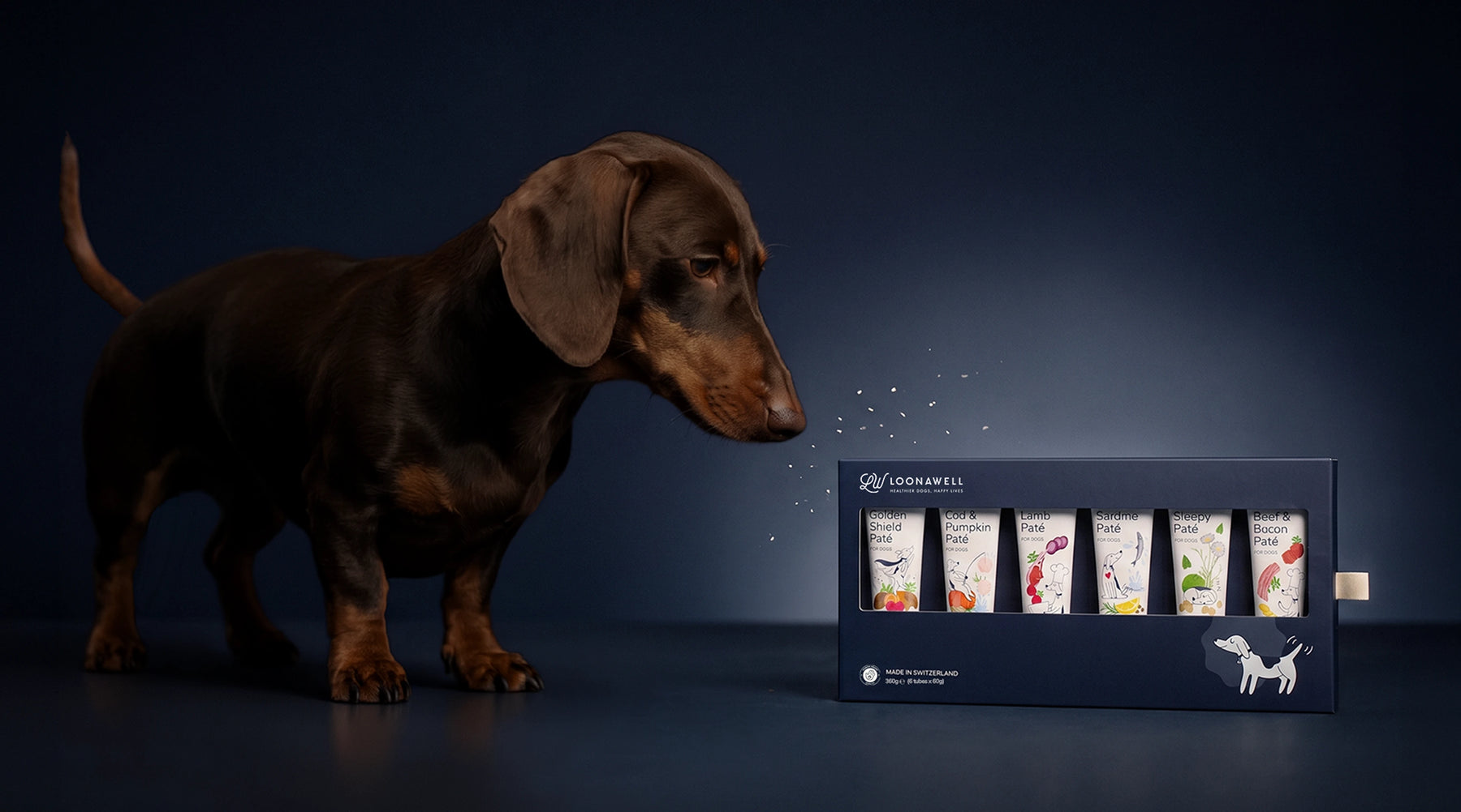 A dog with the LOONAWELL Discovery Pack