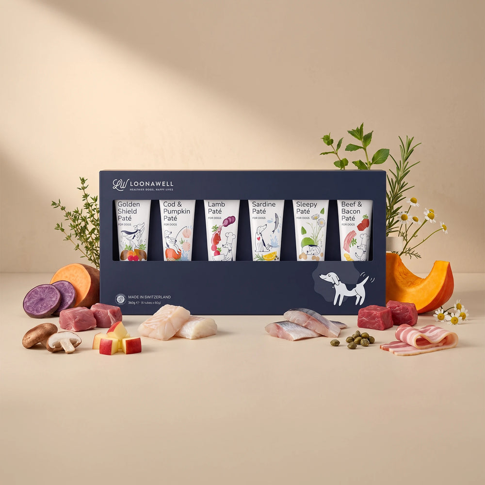 LOONAWELL Discovery Pack paté gift box with six organic dog paté tubes 60 grams each, surrounded by fresh meat, fish and vegetables in a beige background.