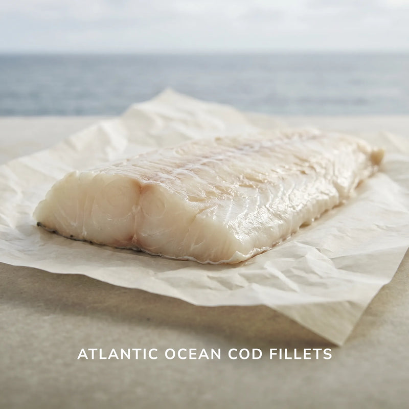 Fresh Atlantic Ocean cod fillet on parchment paper with coastal ocean backdrop