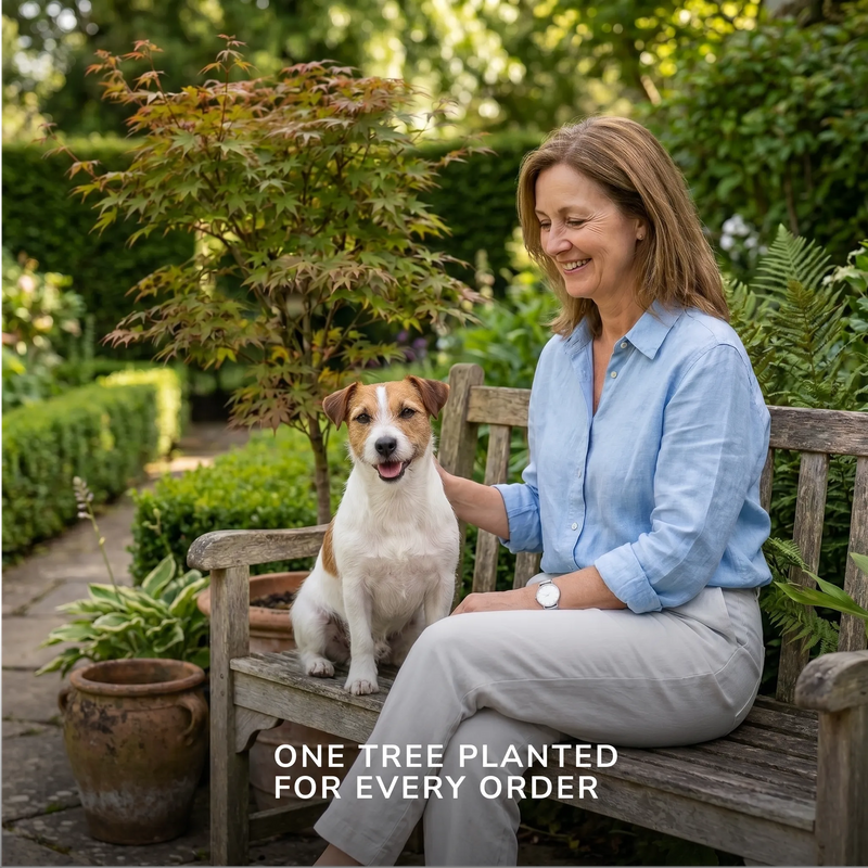 Jack Russell Terrier sitting with owner on a wooden bench in a lush garden
