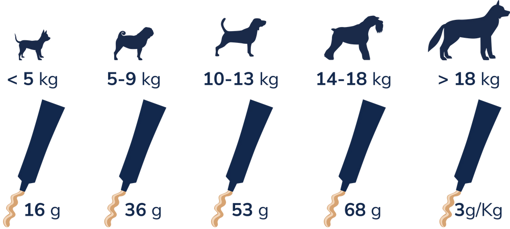 Feeding Recommendations