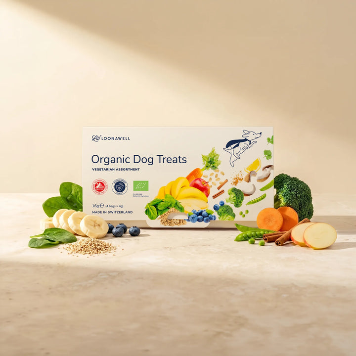Vegetarian Welcome Pack