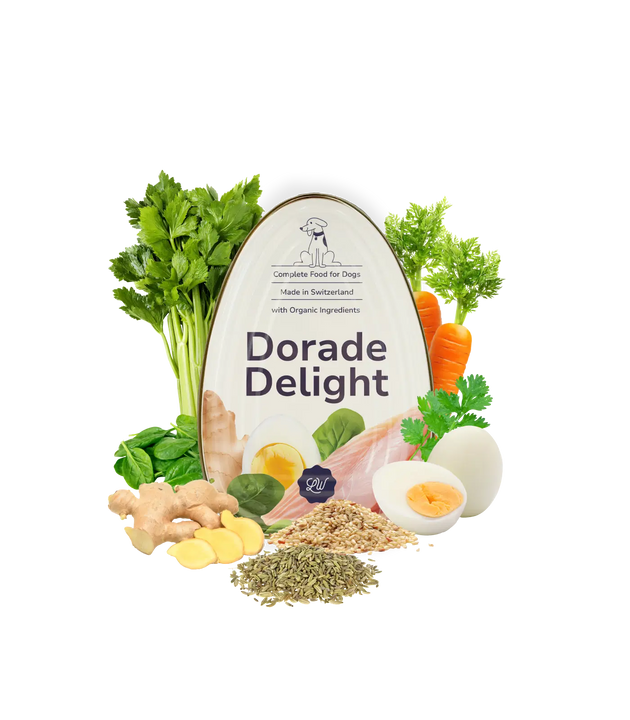 Dorade Delight