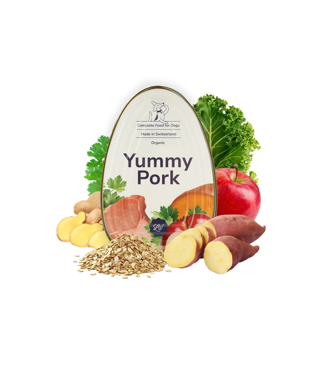 Yummy Pork