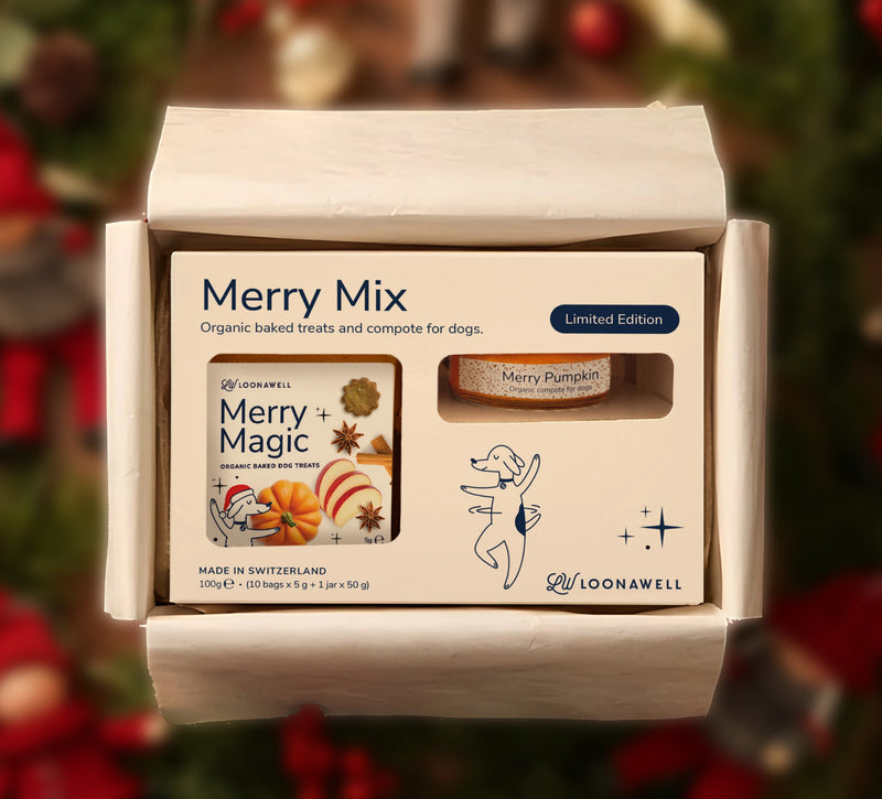 Holiday Gift Packaging