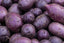 Organic Purple Potatoes