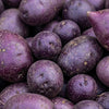 Organic Purple Potatoes
