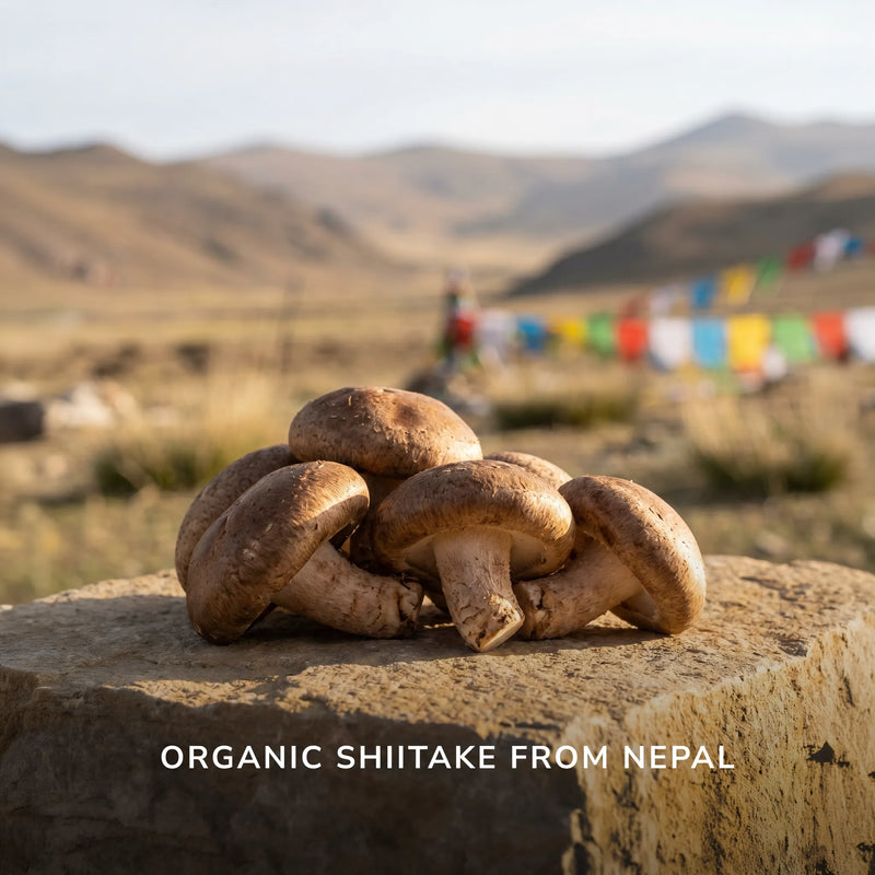 Organic shiitake mushrooms from Nepal with mountain landscape and prayer flags