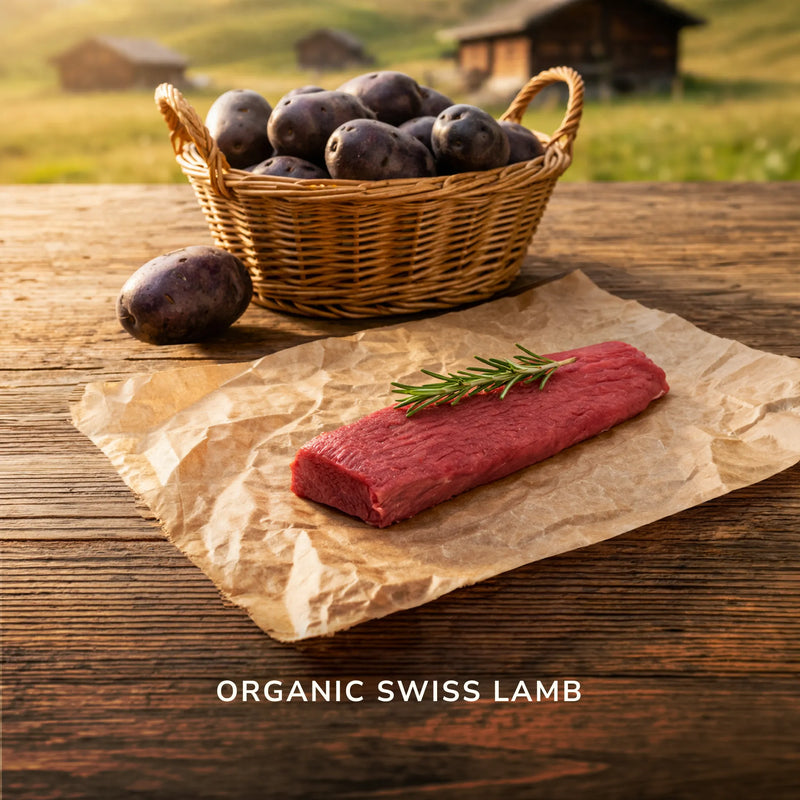 Organic Swiss lamb fillet with rosemary and a basket of purple potatoes on a rustic table with alpine scenery
