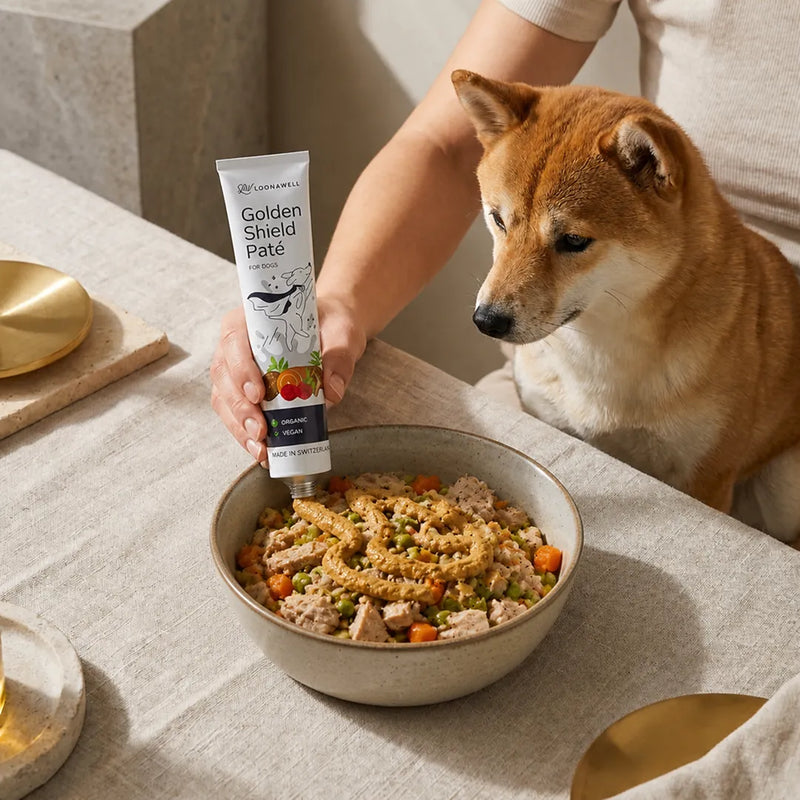A Shiba Inu attentively watches as its owner squeezes Loonawell Golden Shield Paté onto a bowl of dog food, using the organic vegan paté as a delicious meal topper.