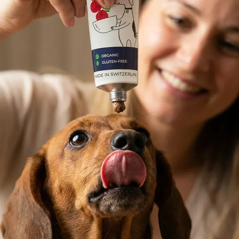 A smiling woman holding a tube of Loonawell organic dog paté directly above a Dachshund, who is eagerly licking its lips in anticipation of the high-value training reward.