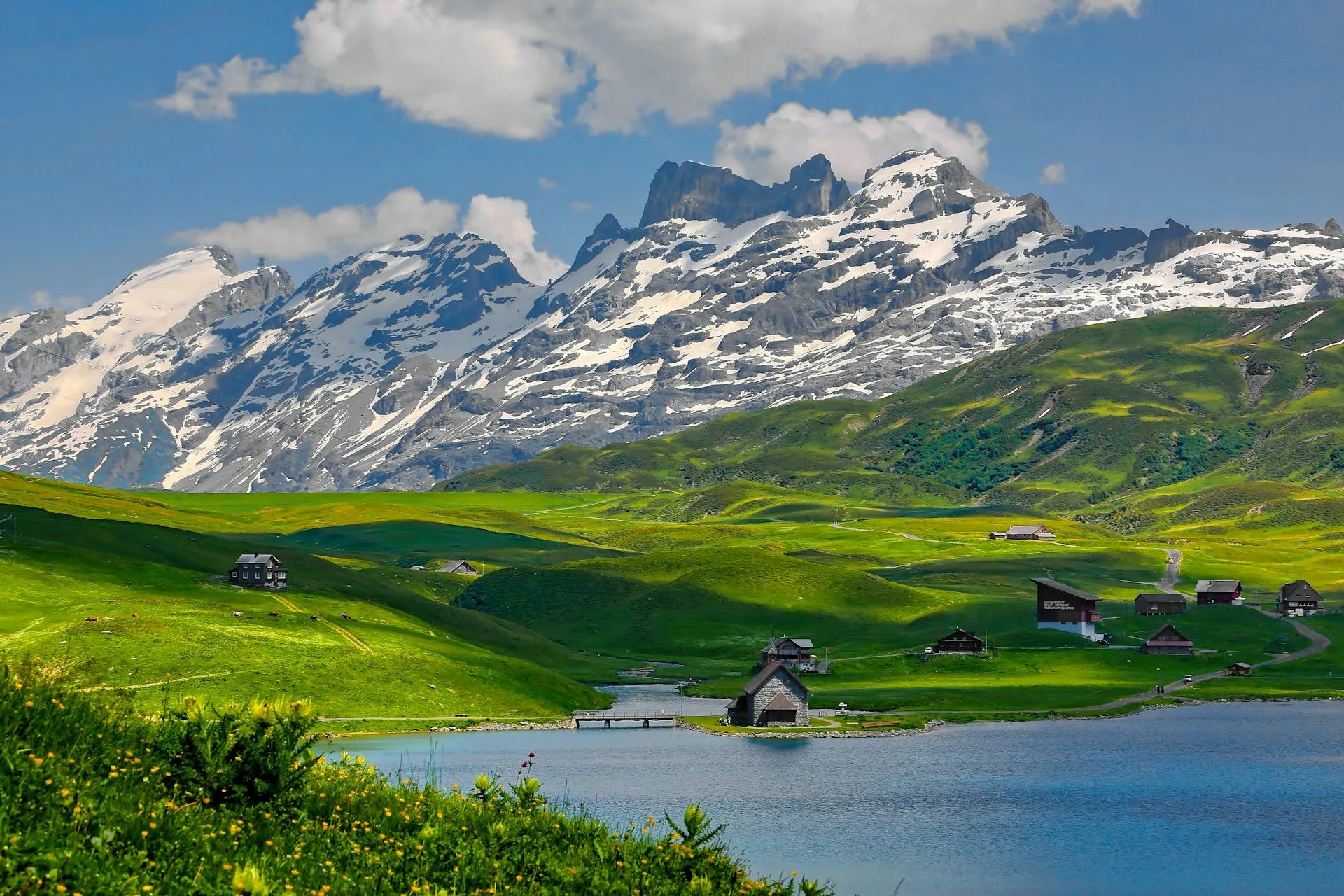 Swiss-Made & Made in Zurich