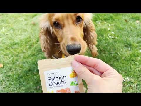 LOONAWELL Salmon Organic Treats with Omega