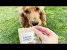 Salmon Delight Bio Baked Dog Treats
