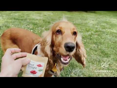 Video of a cocker spaniel at the park running towards a sachet of LOONAWELL Beef Delight treats and then eating one that is handed to her