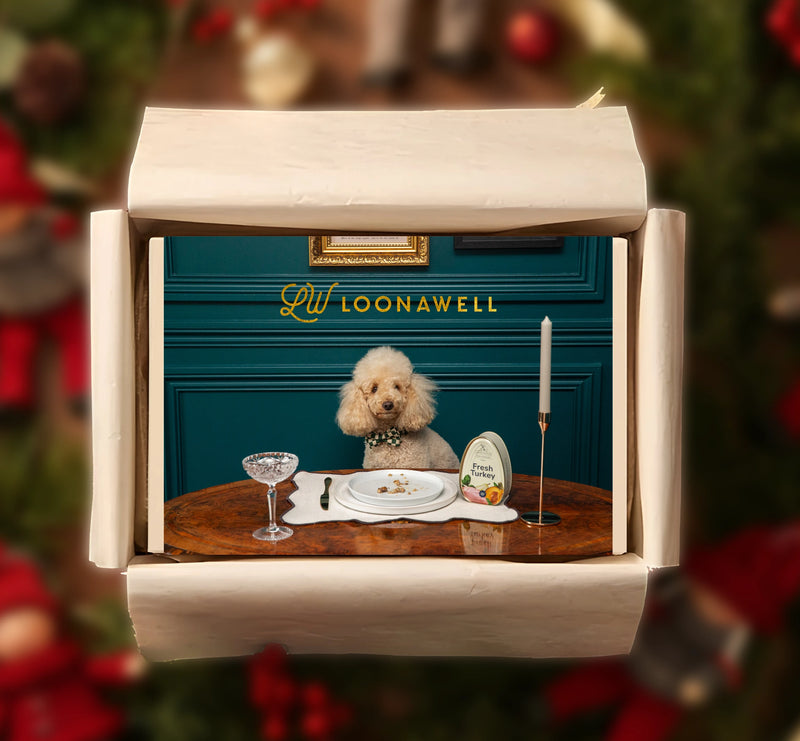 Holiday Gift Packaging