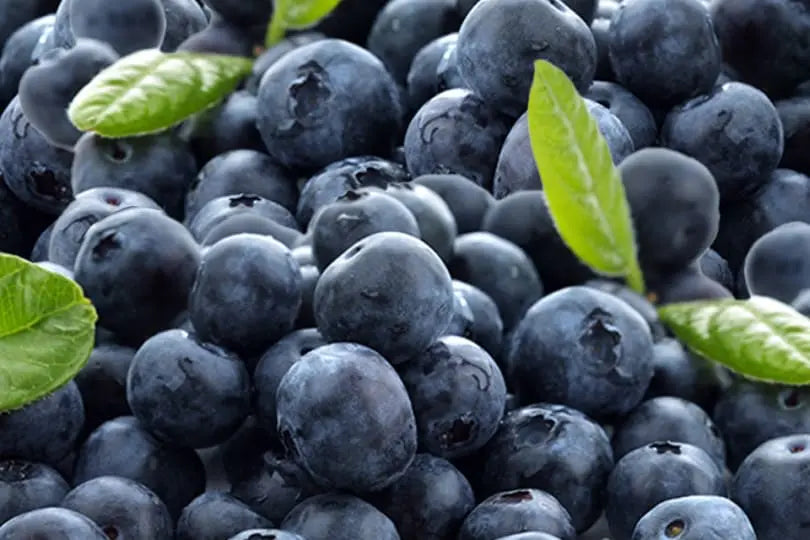 Un primo piano di mirtilli biologici freschi e succosi della migliore qualità acquistati da Loonawell.